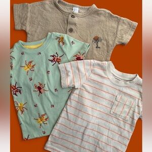 Kids' T Shirt Bundle- 3 shirts! Stripes, bugs, and beach sun palm tree